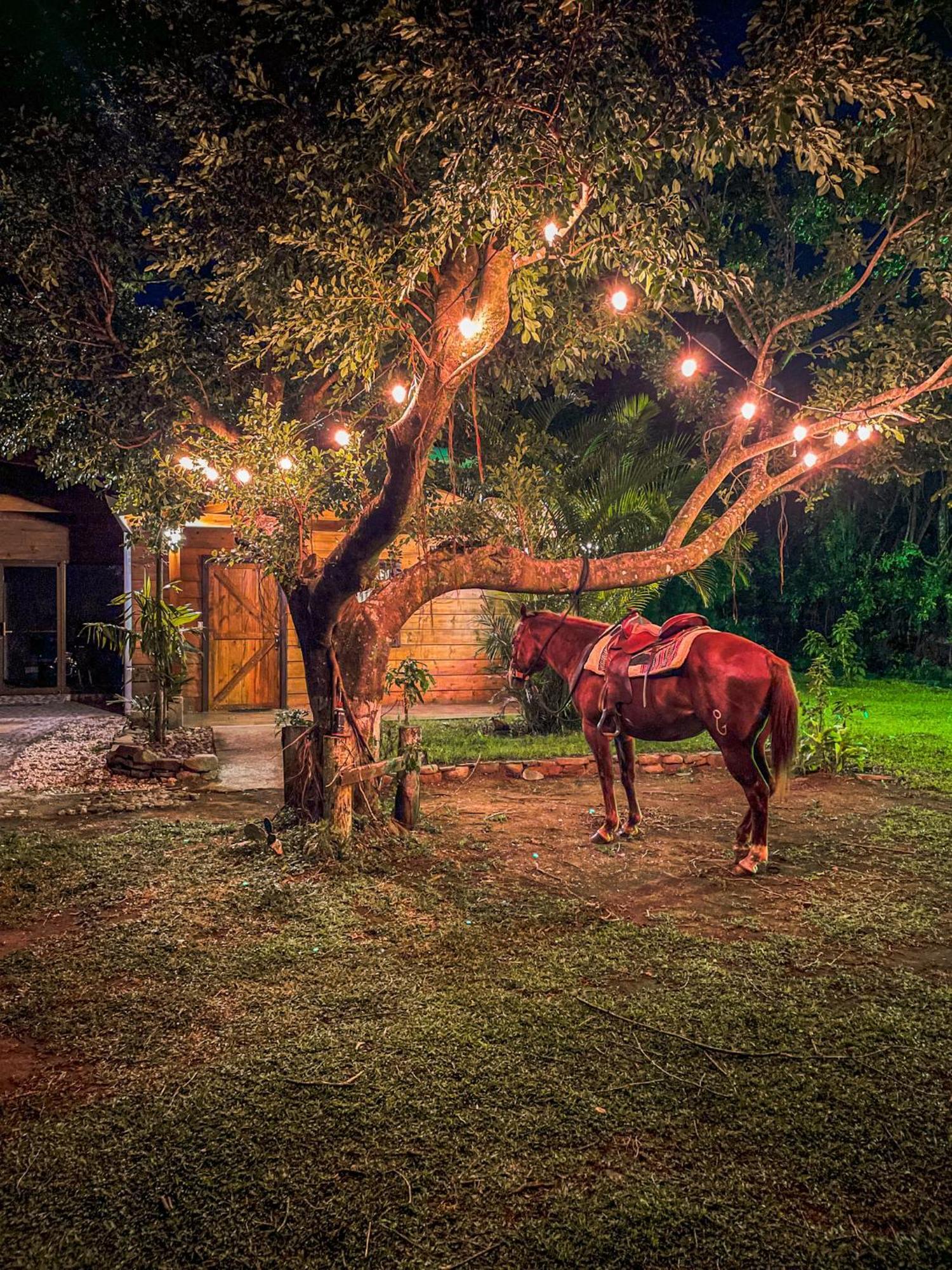 Tierra Buena Countryside Hotel Монте-Верде Экстерьер фото